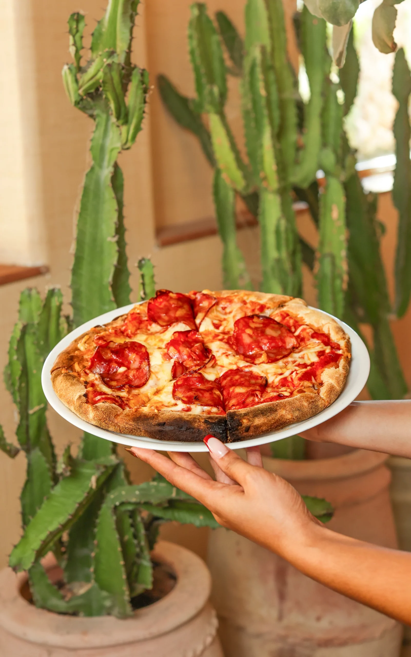 Home 14 CASA ROSE V2 PHOTO-168