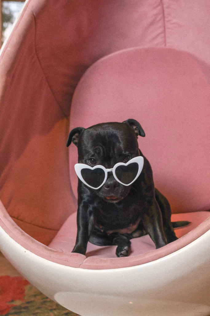 CASA ROSE V2 PHOTO 265